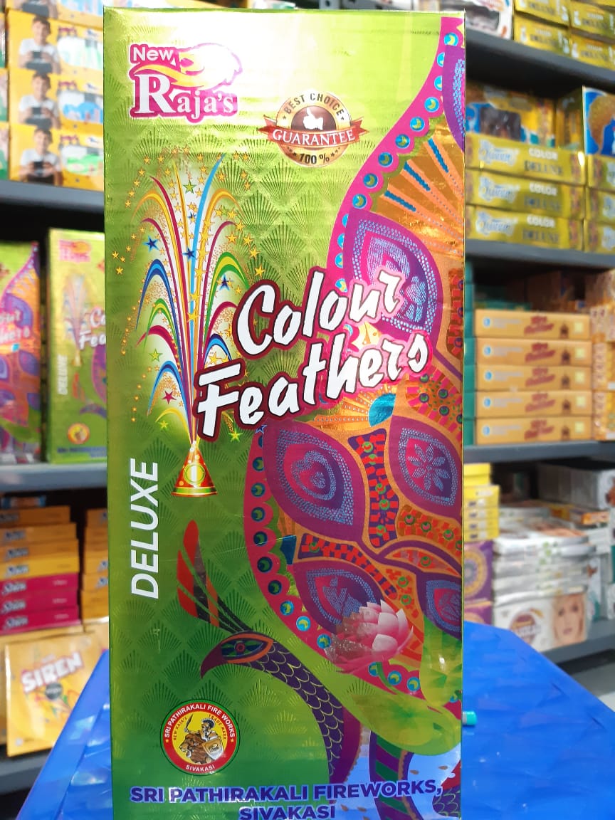 Deluxe colour koti flower pots